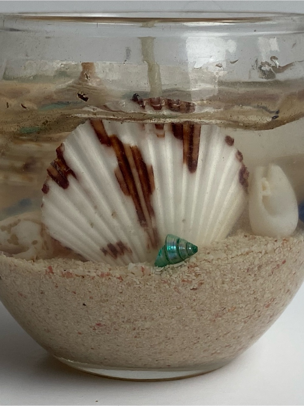Shell Gel Candle Beach Sand Round Scallop Coastal 2.3” Tall Glass Beachy